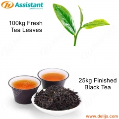25 किलो समाप्त काली चाय के लिए 100 किलो ताजा चाय पत्ती प्रसंस्करण मशीन