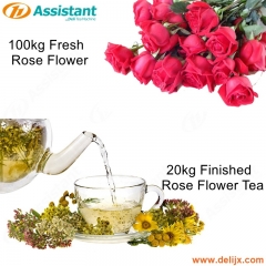 20 किलो तैयार गुलाब के फूल की चाय सुखाने की प्रक्रिया मशीन 100 किलो ताजा चाय सुखाने की मशीन