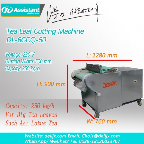 हर्बल चाय कमल का पत्ता चाय की बड़ी पत्ती काटने की मशीन